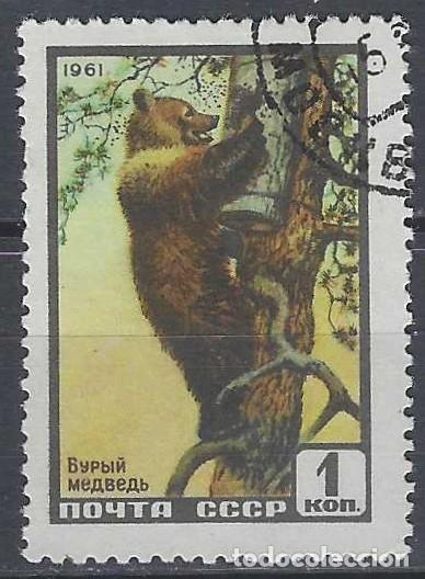 Sellos: UNI&Oacute;N SOVI&Eacute;TICA 1961 - FAUNA, OSO PARDO - USADO