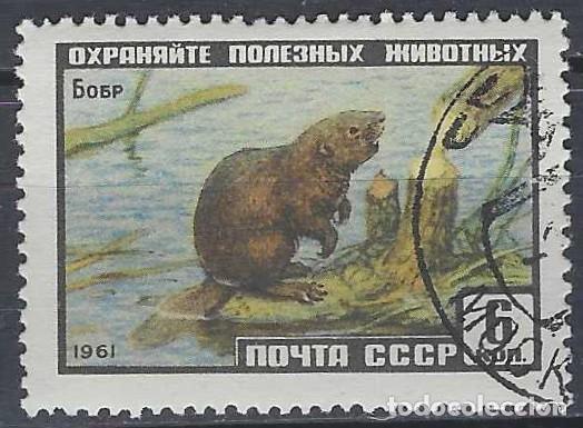 Sellos: UNI&Oacute;N SOVI&Eacute;TICA 1961 - FAUNA, CASTOR - USADO