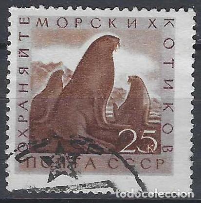 Sellos: UNI&Oacute;N SOVI&Eacute;TICA 1960 - FAUNA MARINA, OSO MARINO &Aacute;RTICO - USADO