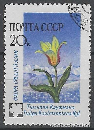 Sellos: UNI&Oacute;N SOVI&Eacute;TICA 1960 - FLORA, TULIP&Aacute;N KAUFMANIANO - USADO