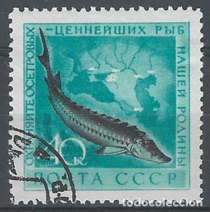 Sellos: UNI&Oacute;N SOVI&Eacute;TICA 1959 - FAUNA, PECES, ESTURI&Oacute;N - USADO