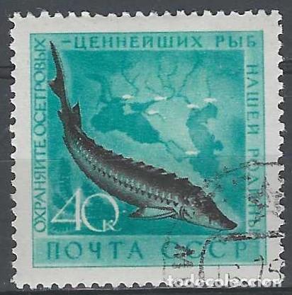 Sellos: UNI&Oacute;N SOVI&Eacute;TICA 1959 - FAUNA, PECES, ESTURI&Oacute;N - USADO