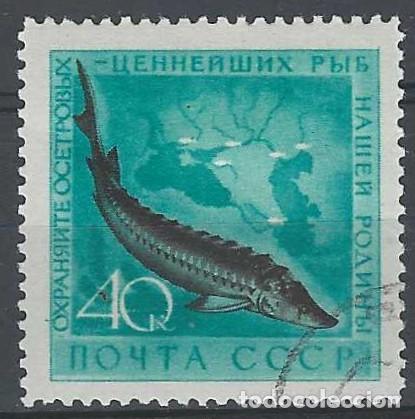 Sellos: UNI&Oacute;N SOVI&Eacute;TICA 1959 - FAUNA, PECES, ESTURI&Oacute;N - USADO