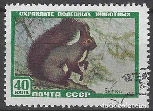 Sellos: UNI&Oacute;N SOVI&Eacute;TICA 1959 - FAUNA, ARDILLA - USADO