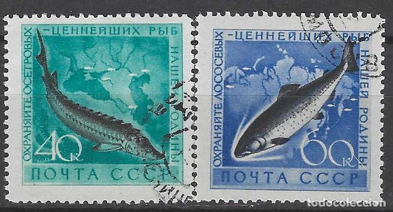 Sellos: UNI&Oacute;N SOVI&Eacute;TICA 1959 - FAUNA, PECES, S.COMPLETA - USADOS