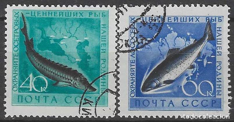 Sellos: UNI&Oacute;N SOVI&Eacute;TICA 1959 - FAUNA, PECES, S.COMPLETA - USADOS