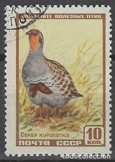 Sellos: UNI&Oacute;N SOVI&Eacute;TICA 1957 - FAUNA, PERD&Iacute;Z - USADO
