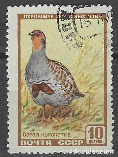Sellos: UNI&Oacute;N SOVI&Eacute;TICA 1957 - FAUNA, PERD&Iacute;Z - USADO