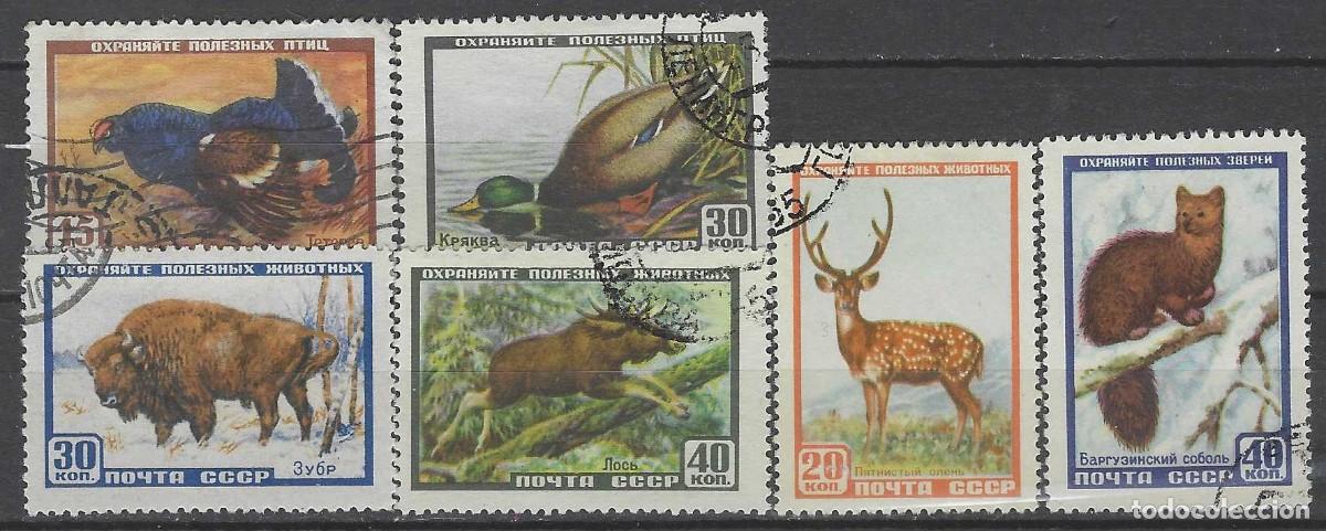 Sellos: UNI&Oacute;N SOVI&Eacute;TICA 1957 - FAUNA, S.COMPLETA - USADOS