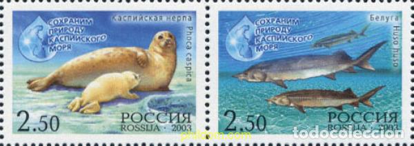 Sellos: 135094 MNH RUSIA 2003 PRESERVACION DEL MAR CASPIO