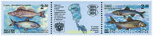 Sellos: 305166 MNH RUSIA 2000 PECES DE LAGO DE PEIPSI