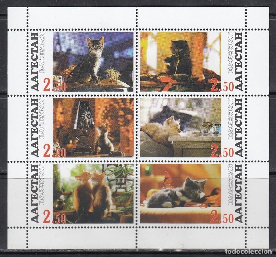 Sellos: DAGESTAN 1997 SHEET MNH CATS GATTI CHATS GATOS KATZEN