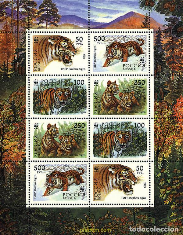 Sellos: 12647 MNH RUSIA 1993 TIGRE DE SIBERIA