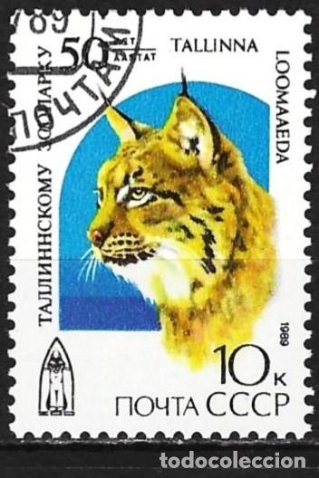 Sellos: Rusia 1989 - Mi 5977 - YT 5644 - Fauna : Lince