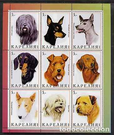 Sellos: KARELIA 2000 SHEET MNH DOGS CHIENS PERROS HUNDEN CANI CAES