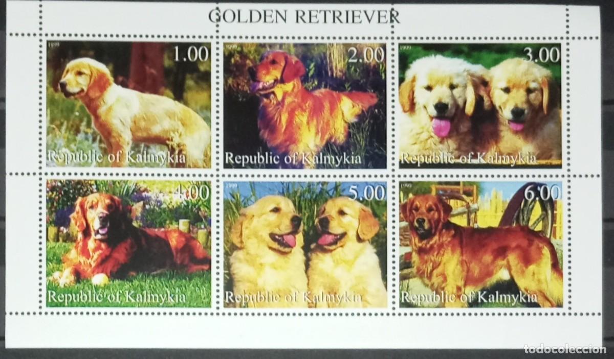 Sellos: KALMYKIA 1999 SHEET MNH GOLDEN RETRIEVER DOGS CHIENS PERROS HUNDEN CANI CAES