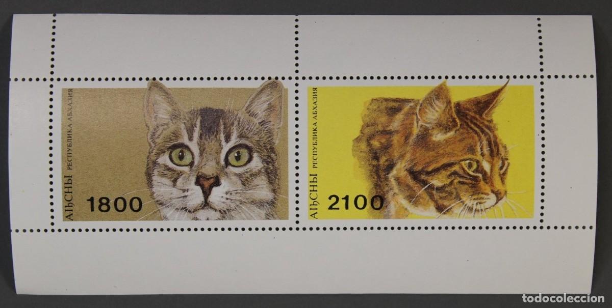Sellos: ABKHAZIA 1996 SHEET MNH CATS GATTI CHATS GATOS KATZEN