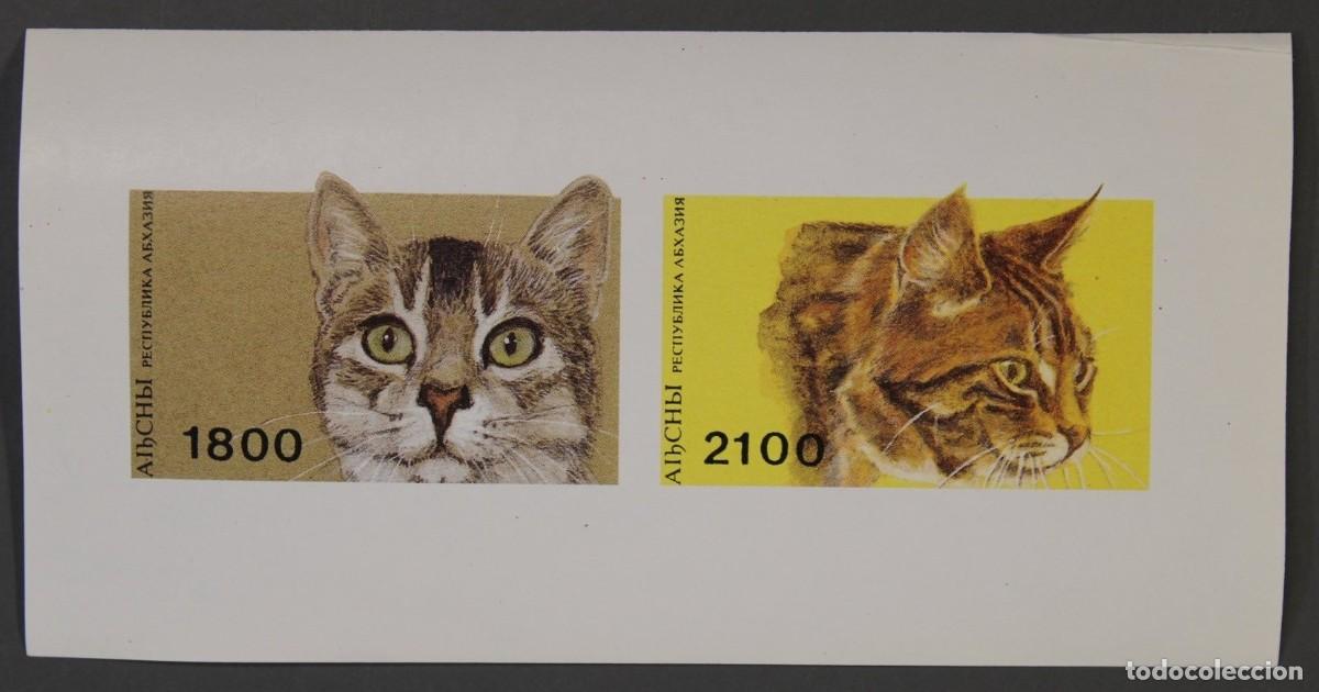 Sellos: ABKHAZIA 1996 SHEET MNH IMPERF CATS GATTI CHATS GATOS KATZEN