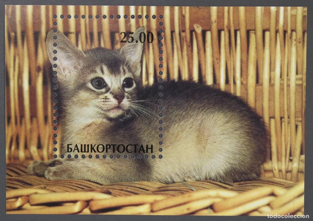 Sellos: BASHKIRIA 2001 SHEET MNH CATS GATTI CHATS GATOS KATZEN