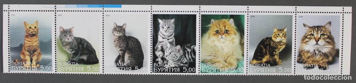 Sellos: BURIATIA 2000 SERIE 7 STAMPS MNH CATS GATTI CHATS GATOS KATZEN