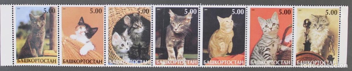 Sellos: BASHKIRIA 2001 SERIE 7 STAMPS MNH CATS GATTI CHATS GATOS KATZEN
