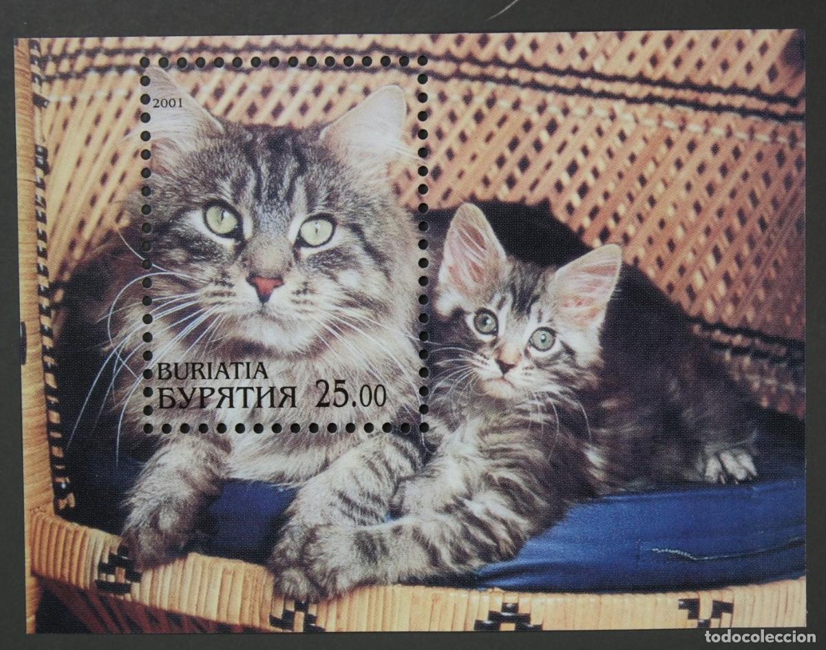 Sellos: BURIATIA 2001 SHEET MNH CATS GATTI CHATS GATOS KATZEN