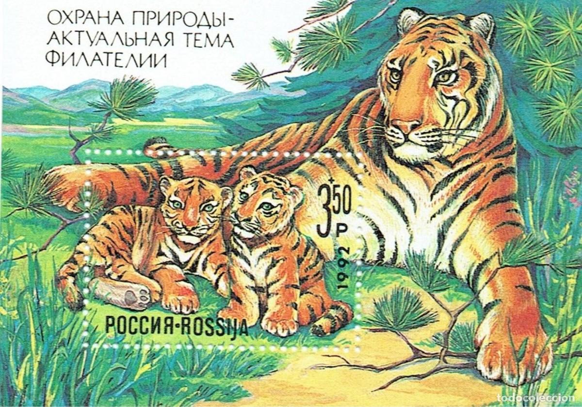 Sellos: RUSIA 1992 SHEET MNH FAUNA MAMIFEROS PROTECCION DE LA NATURALEZA TIGERS TIGRES FELINES FELINOS