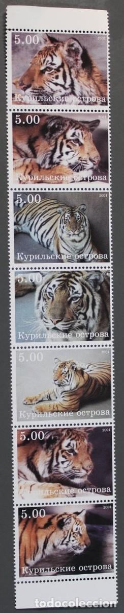 Sellos: KURIL ISLANDS 1993 SERIE 7 STAMPS MNH FAUNA MAMIFEROS TIGERS TIGRES RAUBKATZEN FELINOS WILDLIFE
