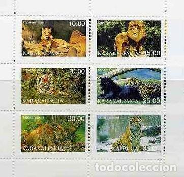Sellos: KARAKALPAKIA 1997 SHEET MNH FAUNA MAMIFEROS LEOPARDOS TIGRES LEONES PANTERAS FELINOS FELINS WILDLIFE