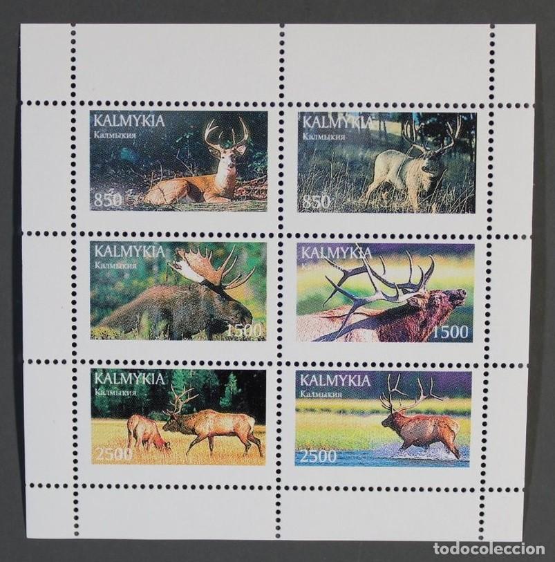 Sellos: KALMYKIA 1996 SHEET MNH FAUNA MAMIFEROS CIERVOS DEERS HIRSCH CERVIDES CERVIDOS ALCES MOOSE WILDLIFE
