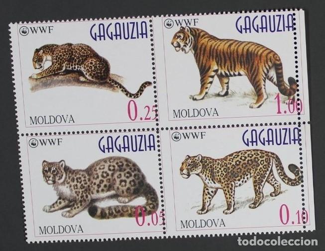 Sellos: GAGAUZIA 1996 SERIE 4 STAMPS MNH WWF FAUNA MAMIFEROS LEOPARDOS LEOPARDS TIGRES FELINOS WILDCATS