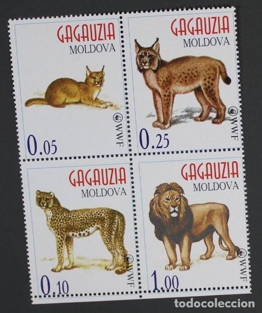 Sellos: GAGAUZIA 1996 SERIE 4 STAMPS MNH WWF FAUNA MAMIFEROS GUEPARDOS LEONES LINCES LYNX FELINOS WILDCATS