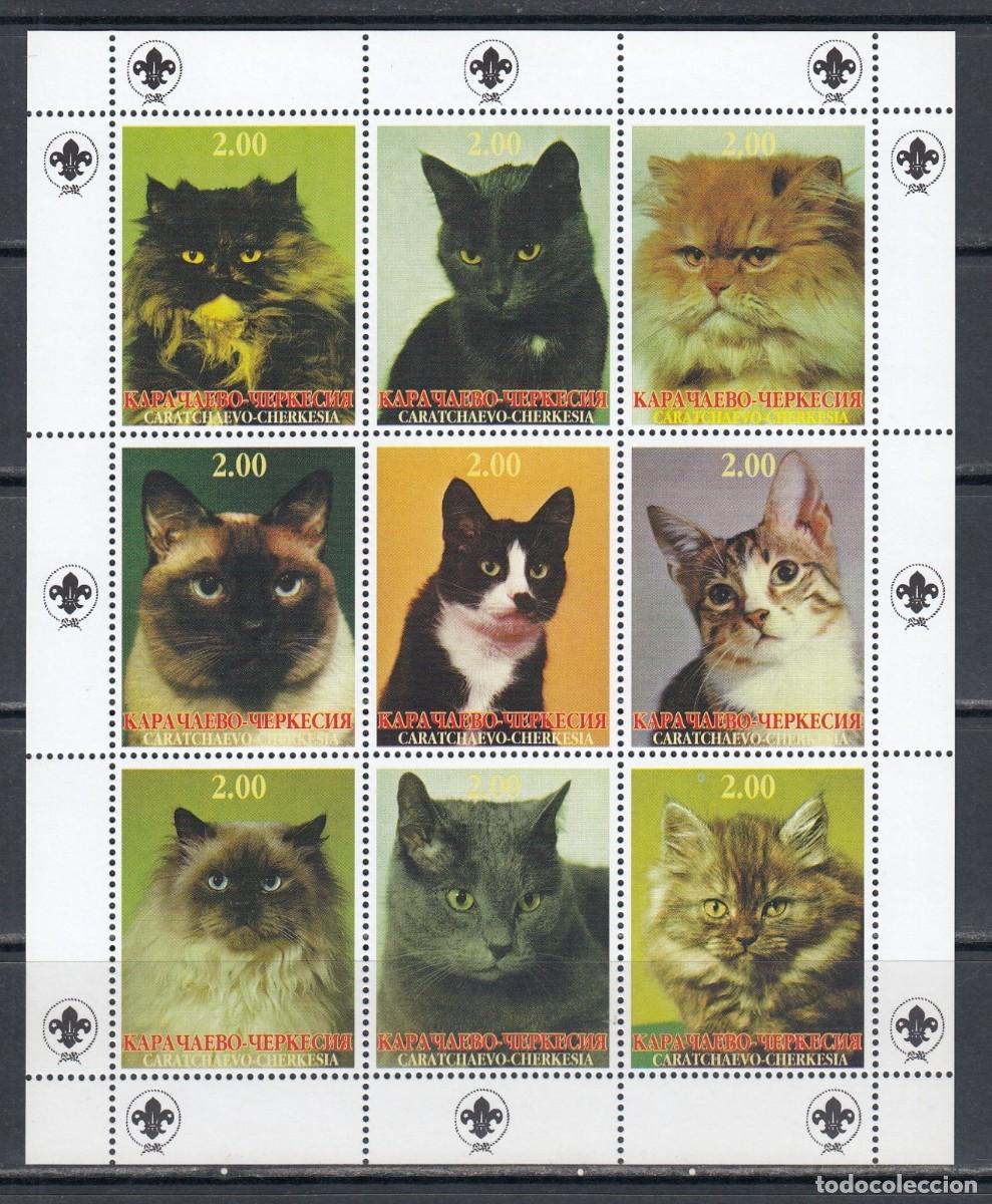 Briefmarken: KARACHAY CHERKESSIA 1999 SHEET MNH SCOUT LOGO CATS GATTI CHATS GATOS KATZEN