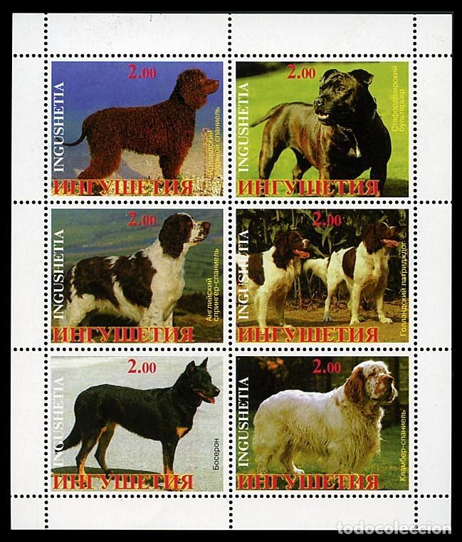 Sellos: INGUSHETIA 1999 SHEET MNH DOGS CHIENS PERROS HUNDEN CANI CAES