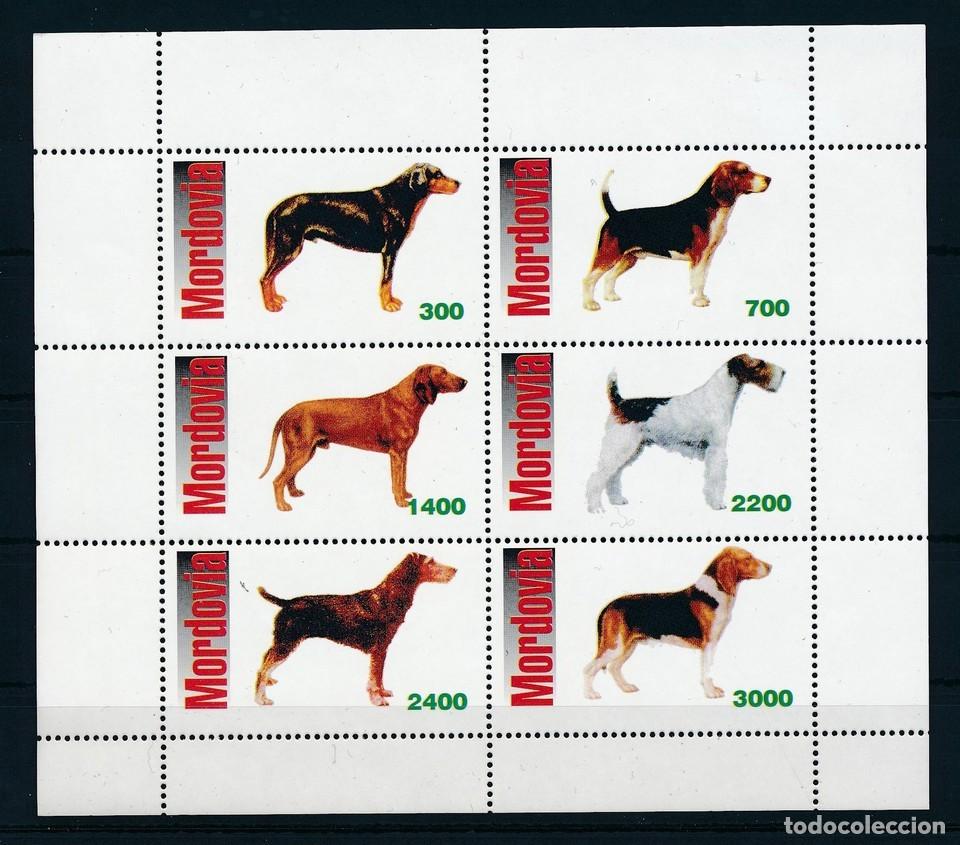 Sellos: MORDOVIA 1998 SHEET MNH DOGS CHIENS PERROS HUNDEN CANI CAES