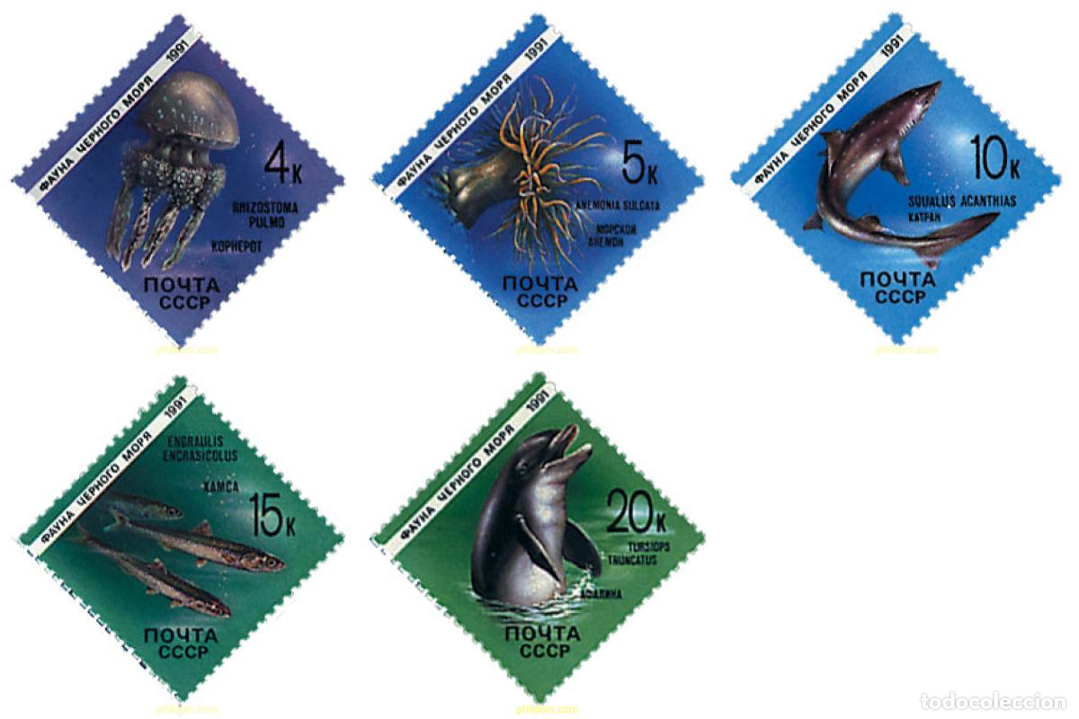 Sellos: 63557 MNH UNION SOVIETICA 1991 FAUNA MARINA DEL MAR NEGRO