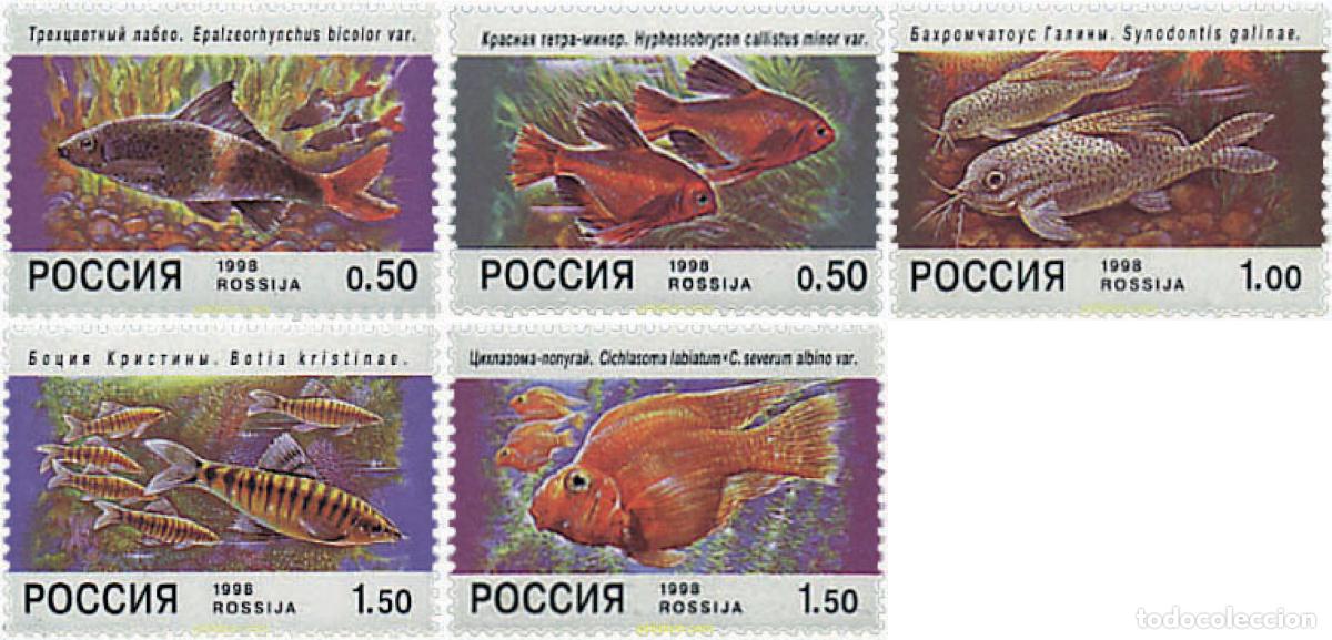 Sellos: 38689 MNH RUSIA 1998 PECES DE ACUARIO
