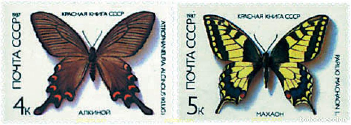 Sellos: 354830 MNH UNION SOVIETICA 1987 MARIPOSAS