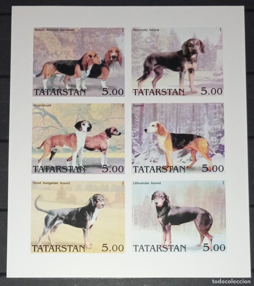 Sellos: TATARSTAN 2001 SHEET MNH IMPERF DOGS CHIENS PERROS HUNDEN CANI CAES