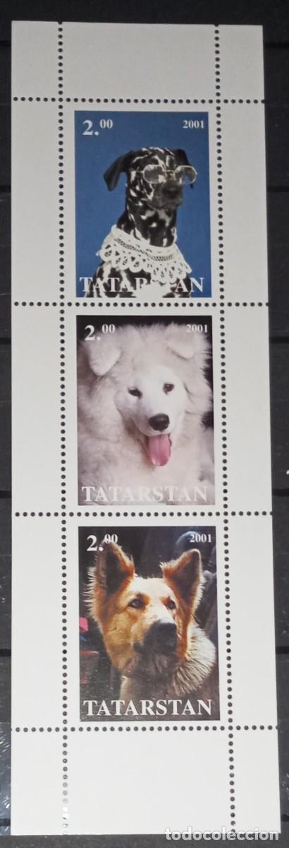 Sellos: TATARSTAN 2001 SHEET MNH DOGS CHIENS PERROS HUNDEN CANI CAES