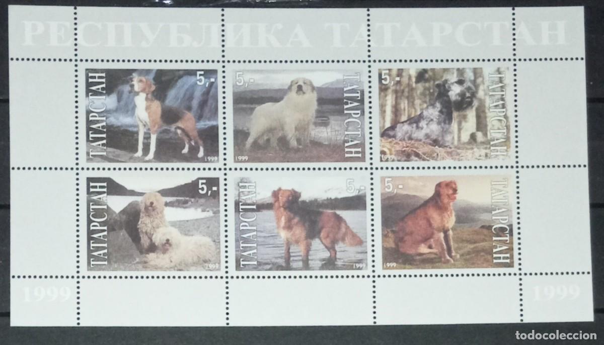 Sellos: TATARSTAN 1999 SHEET MNH DOGS CHIENS PERROS HUNDEN CANI CAES