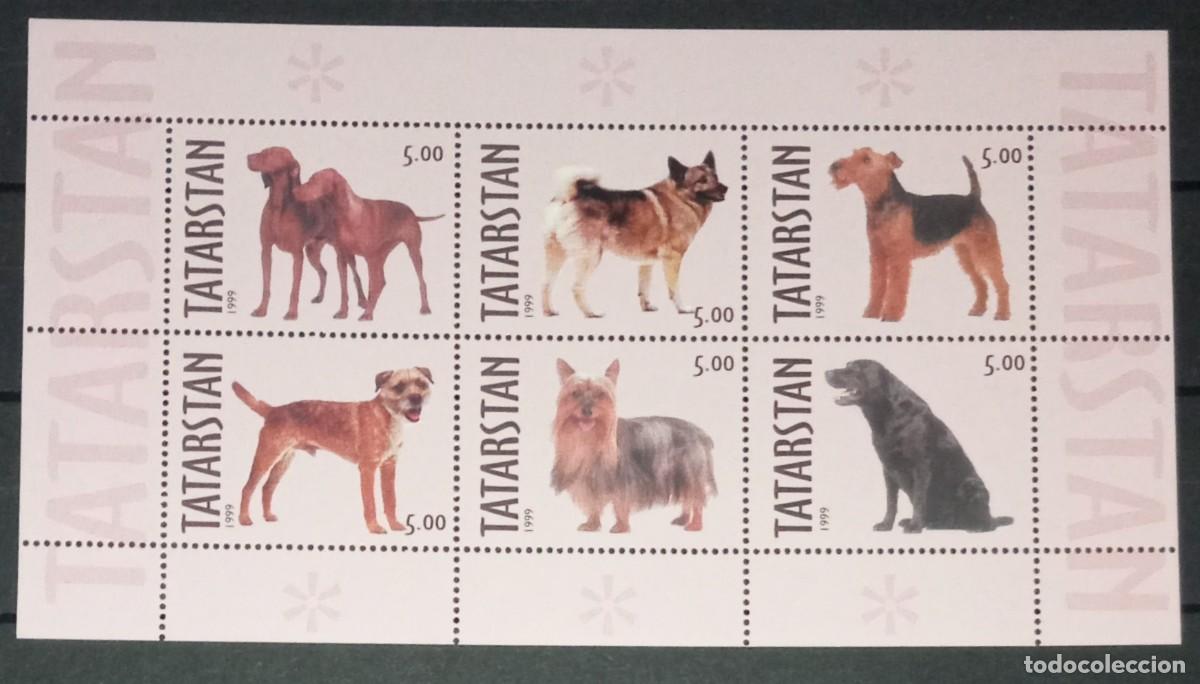Sellos: TATARSTAN 1999 SHEET MNH DOGS CHIENS PERROS HUNDEN CANI CAES