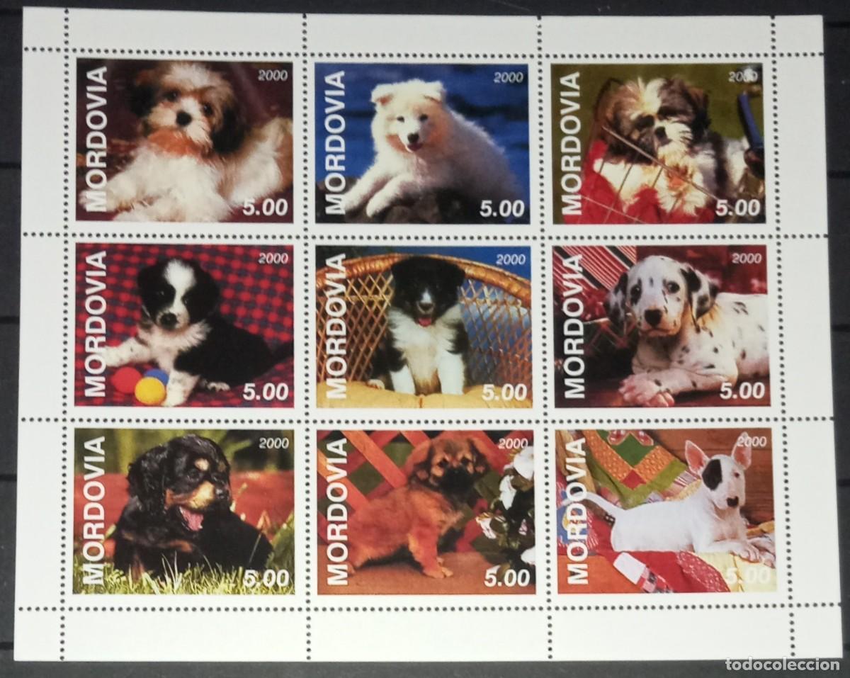 Sellos: MORDOVIA 2000 SHEET MNH DOGS CHIENS PERROS HUNDEN CANI CAES