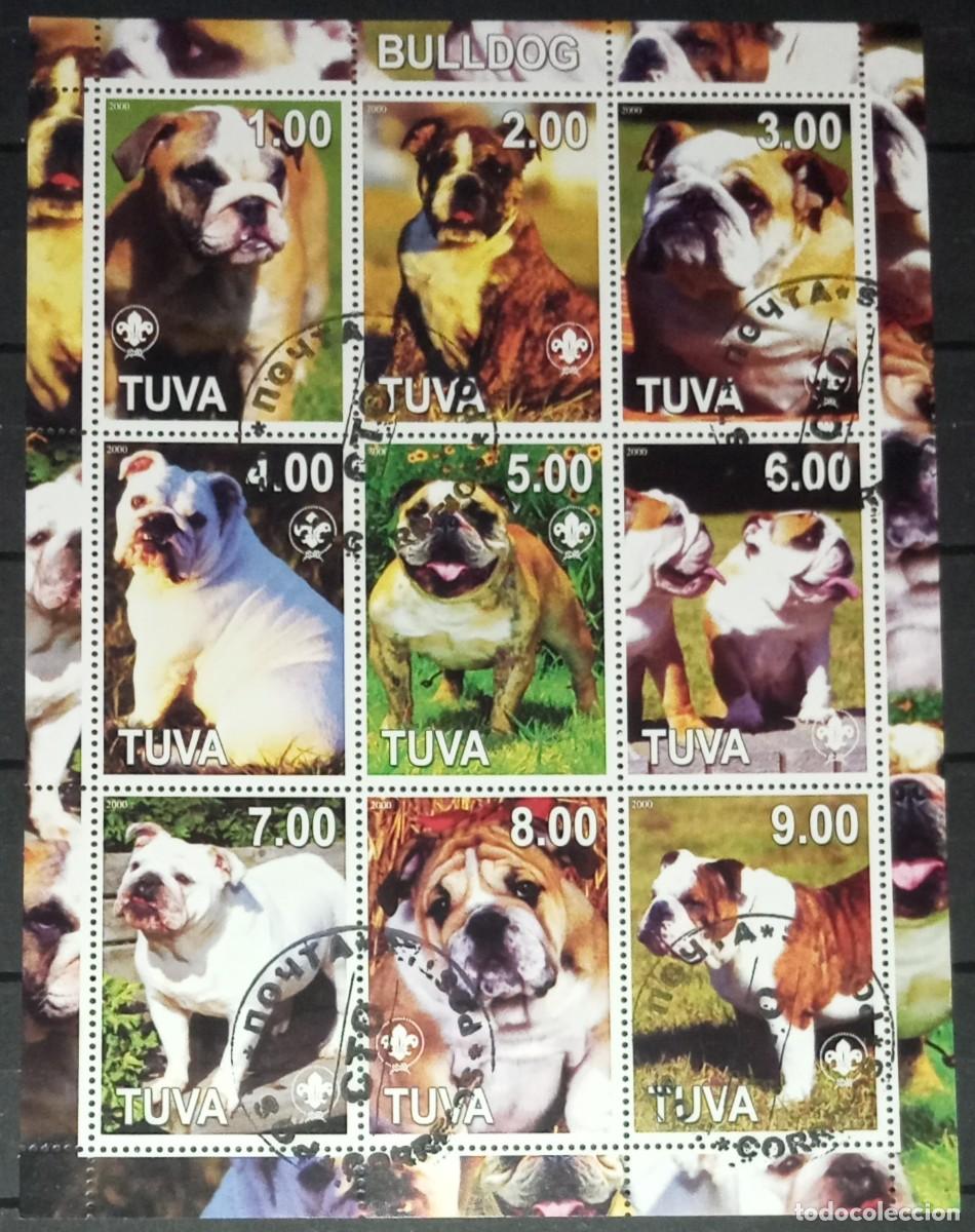 Sellos: TUVA TOUVA 2000 SHEET USED MNH BULLDOG DOGS CHIENS PERROS HUNDEN CANI CAES