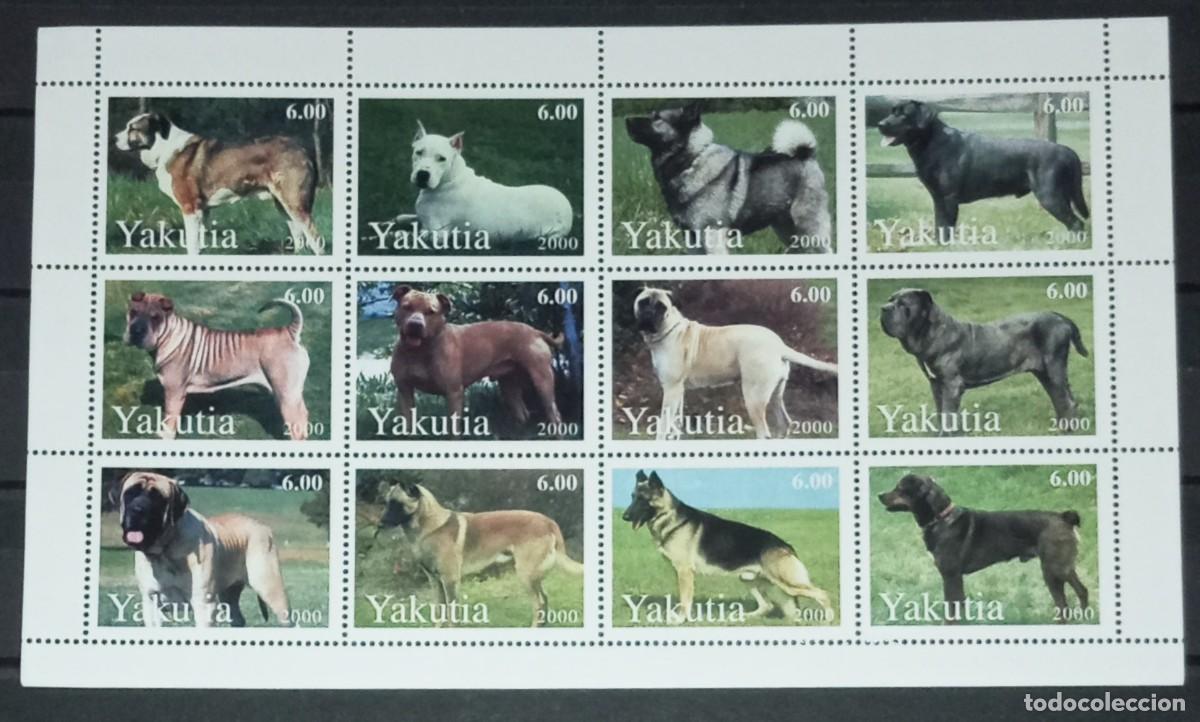 Selos: SAKHA YAKUTIA 2000 SHEET MNH DOGS CHIENS PERROS HUNDEN CANI CAES