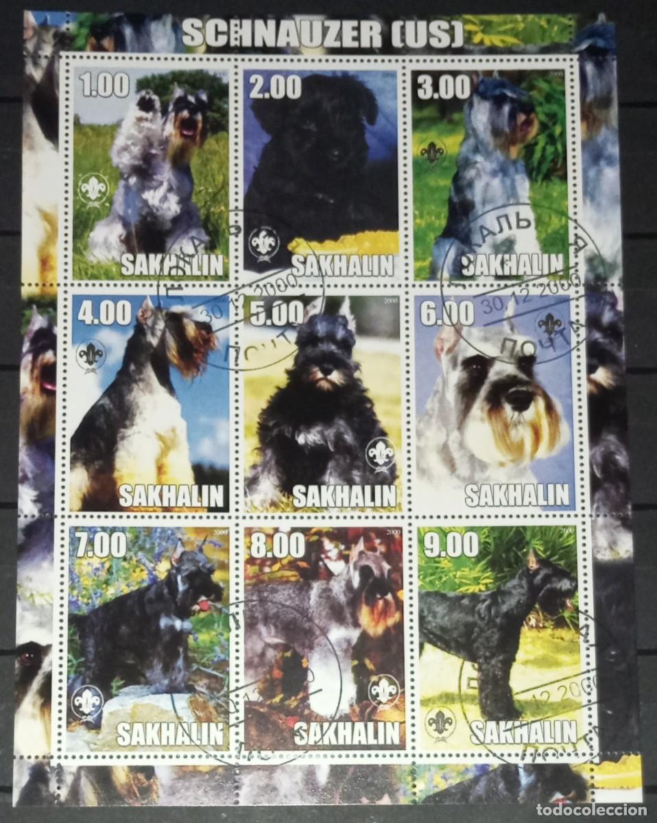 Selos: SAKHALIN 2000 SHEET USED MNH SCHNAUZER DOGS CHIENS PERROS HUNDEN CANI CAES