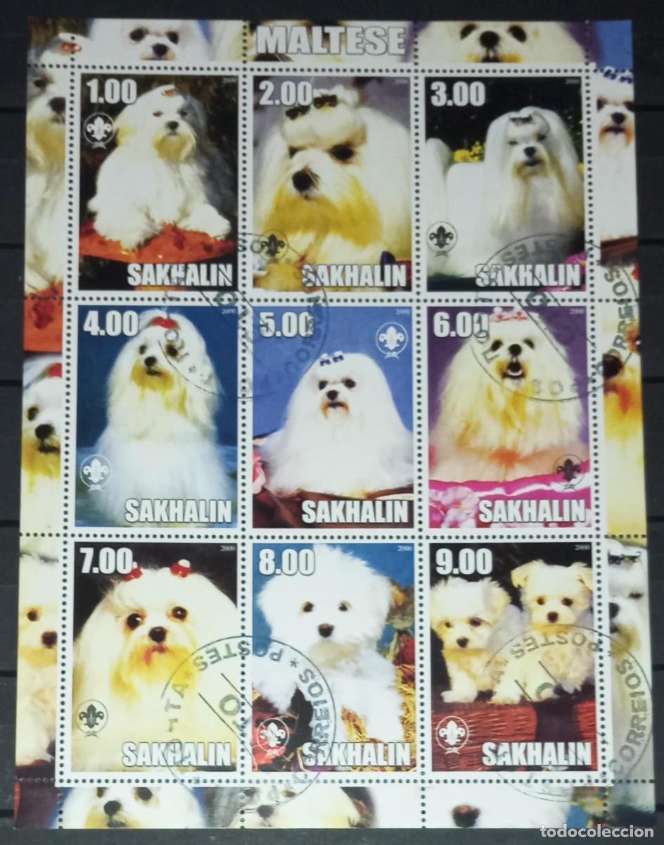 Selos: SAKHALIN 2000 SHEET USED MNH BICHON MALTES DOGS CHIENS PERROS HUNDEN CANI CAES