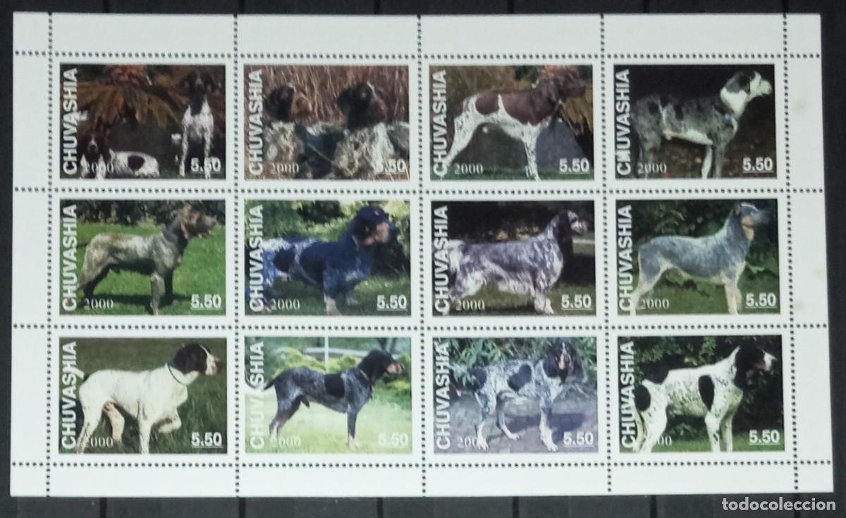 Selos: CHUVASHIA 2000 SHEET MNH DOGS CHIENS PERROS HUNDEN CANI CAES