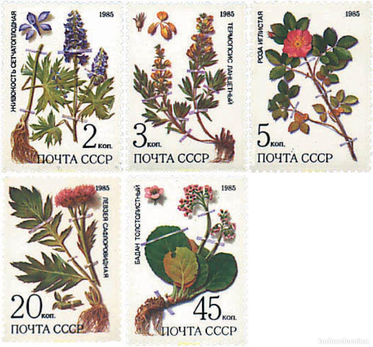 Sellos: 92576 MNH UNION SOVIETICA 1985 PLANTAS MEDICINALES