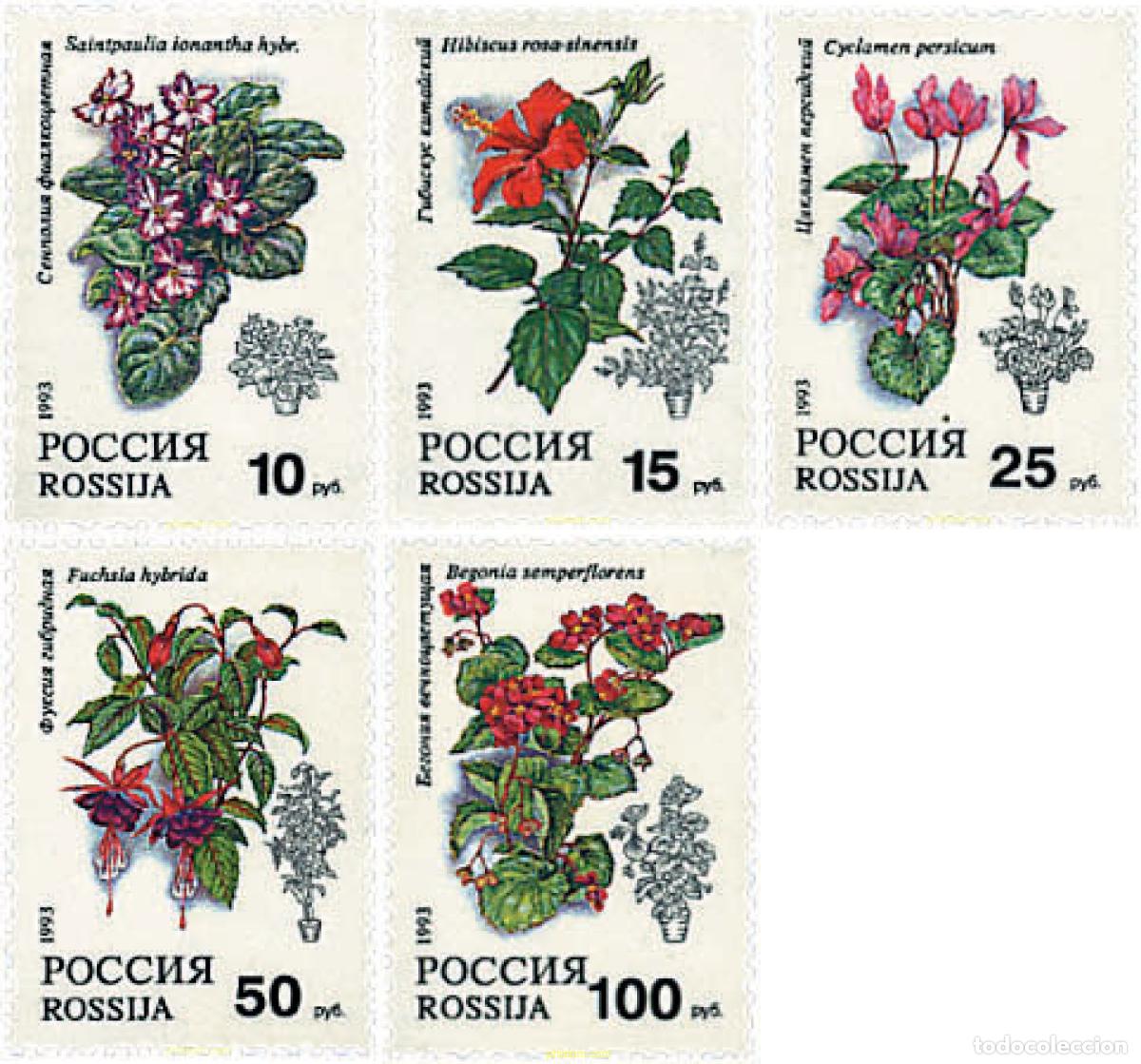 Sellos: 94009 MNH RUSIA 1993 FLORES